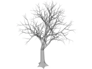 Tree 3D Model