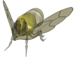 Bee 3D Model