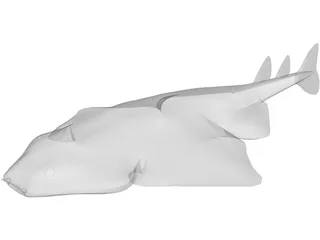 Angel Shark 3D Model