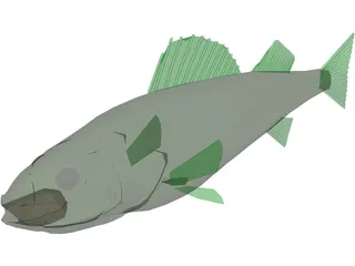 Walleye 3D Model