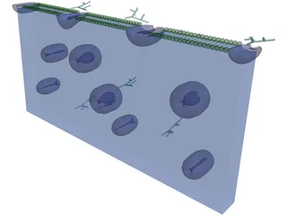 Cell Membrane 3D Model