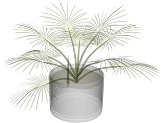 House Plant 3D Model