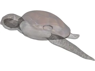 Turtle 3D Model