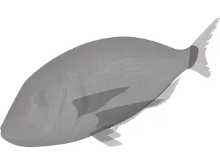 Black Sea Bass 3D Model