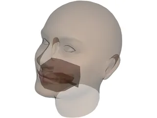 Woman Head 3D Model