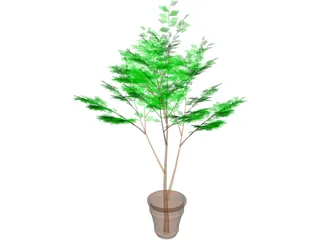 Potted Tree 3D Model