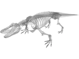 Komodo Dragon Skeleton 3D Model