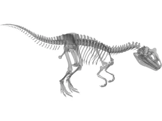 Allosaurus Skeleton 3D Model