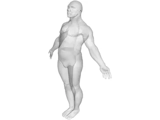Male Body 3D Model