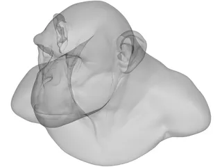 Chimp Head 3D Model