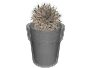 Potted Cactus Plant 3D Model
