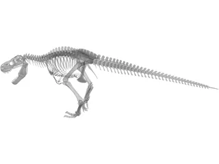 T-Rex Skeleton 3D Model