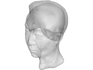 Old Chinaman Head 3D Model