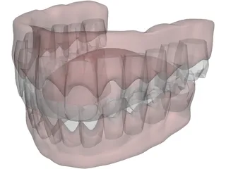 Gums Teeth Tongue 3D Model