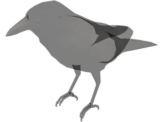 Bangor Crow 3D Model