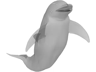 Dolphin 3D Model