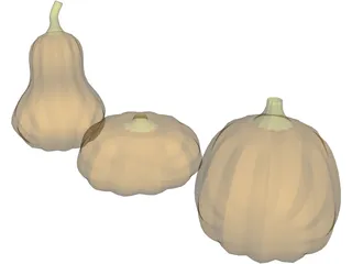 Squash 3D Model