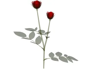 Red Rose 3D Model