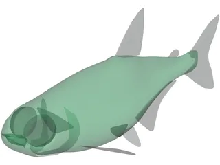 Neon Tetra 3D Model