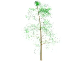 Tree Big 3D Model