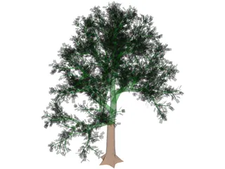 Tree 3D Model