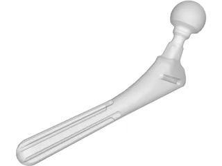 Hip Prosthesis 3D Model