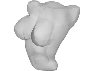 Torso Female Busty 3D Model