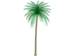 Palm Tree 3D Model