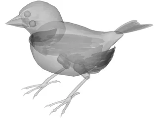Black Bird 3D Model