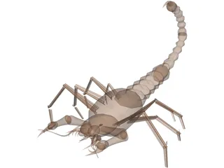 Scorpion 3D Model