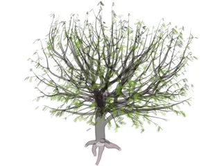 Tree 3D Model