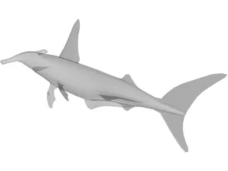 Shark 3D Model