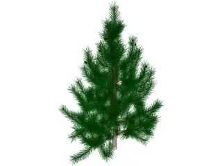 Tree 3D Model