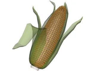 Corn 3D Model