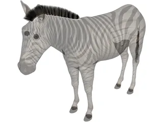 Zebra 3D Model