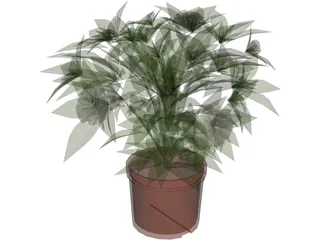 Plant 3D Model