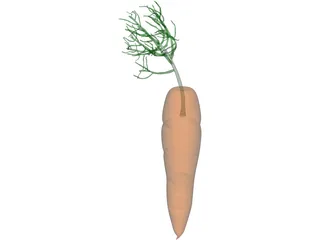 Carrot 3D Model