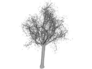 Tree 3D Model