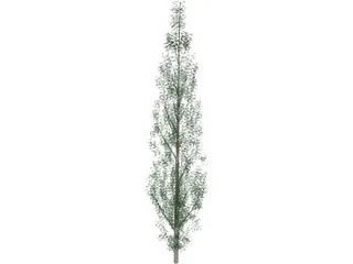 Pine Tree 3D Model