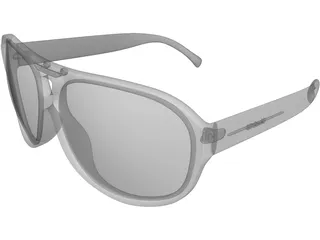 Polaroid Sunglasses 3D Model