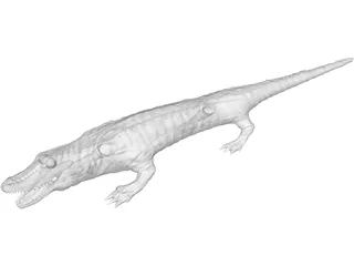 Crocodile 3D Model