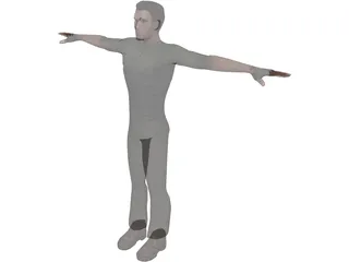 Vincent 3D Model