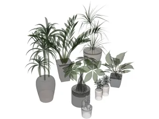 House Plant Collection 3D Model