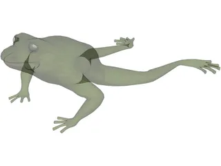 Frog 3D Model