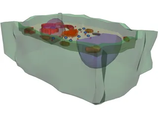 Plant Cell 3D Model