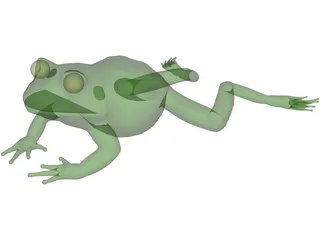 Frog 3D Model