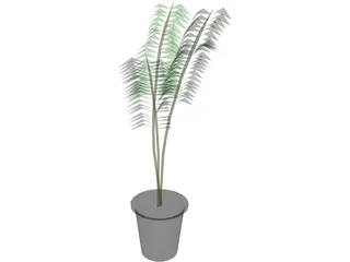 Potted Fern 3D Model