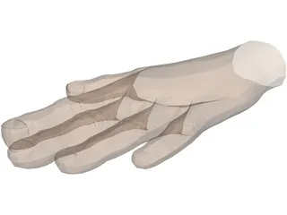 Hand 3D Model