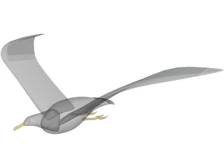 Seagull Flying 3D Model