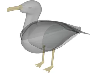 Seagull Standing 3D Model